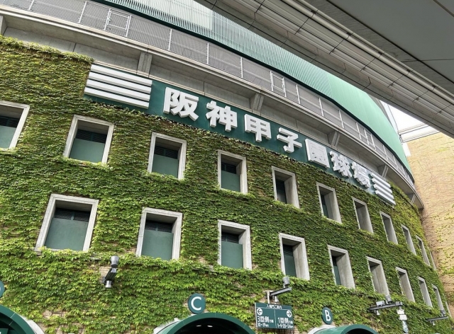 甲子園球場